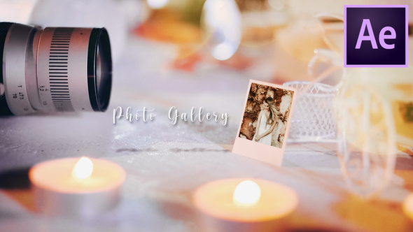 VideoHive Wedding Gallery 31425578