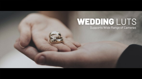 VideoHive Wedding LUTs 38370909