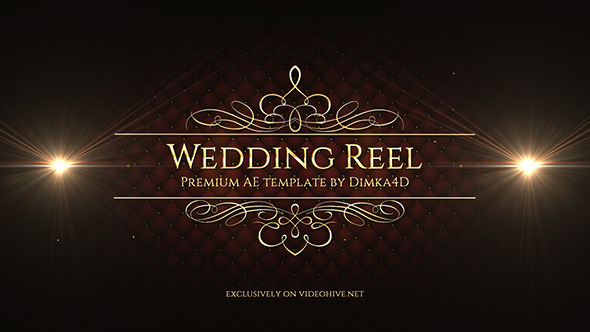 VideoHive Wedding Reel 11612530