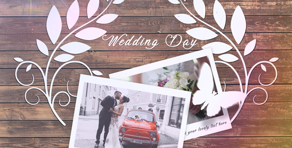 VideoHive Wedding Slideshow 20919263