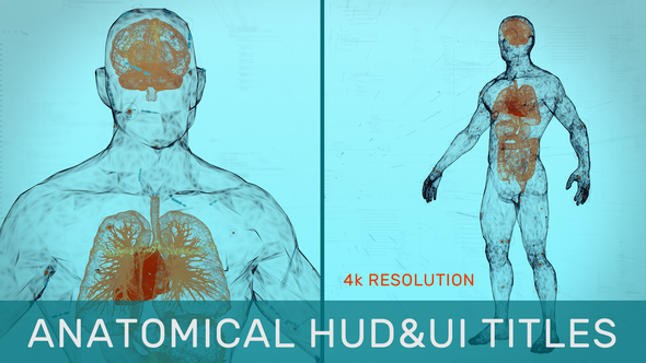 VideoHive Anatomical Hud&Ui Titles Medical 31538280