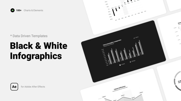 VideoHive Black & White Infographics 38563022