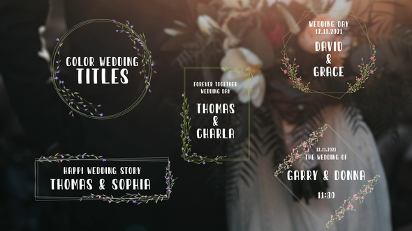 VideoHive Color Wedding Titles 34704268