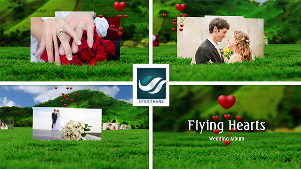 VideoHive Flying Hearts Wedding Album 6623915