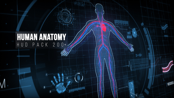 VideoHive Human Anatomy HUD Pack 200+ 22128440