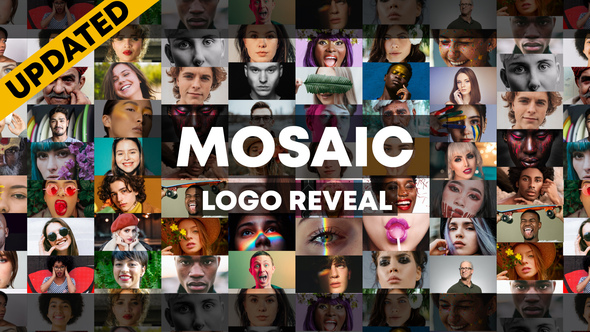 VideoHive Mosaic Stomp Photo Logo Reveal 27800973