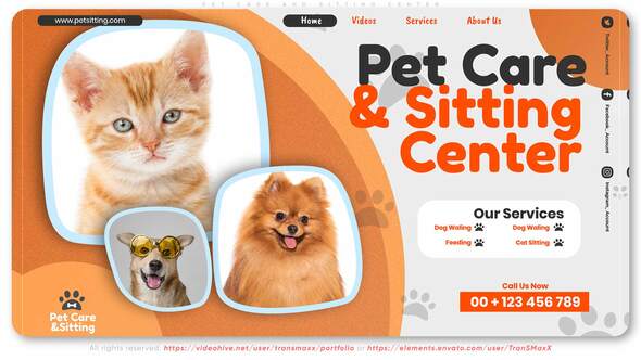 VideoHive Pet Care and Sitting Center 32102574