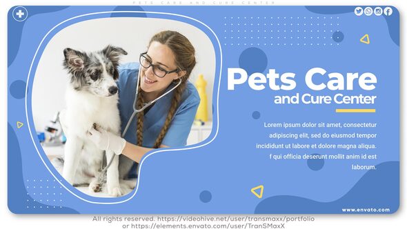 VideoHive Pets Care and Cure Center 26234057