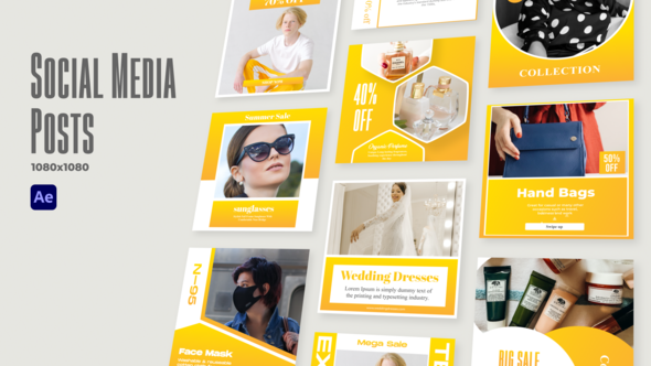 VideoHive Social Media Posts v2 31461252