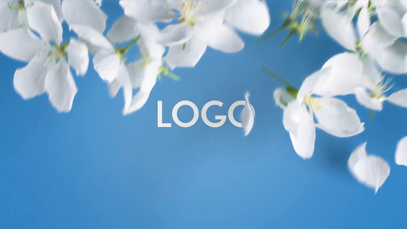 VideoHive Spring Flowers Opener 2 in 1 32064352