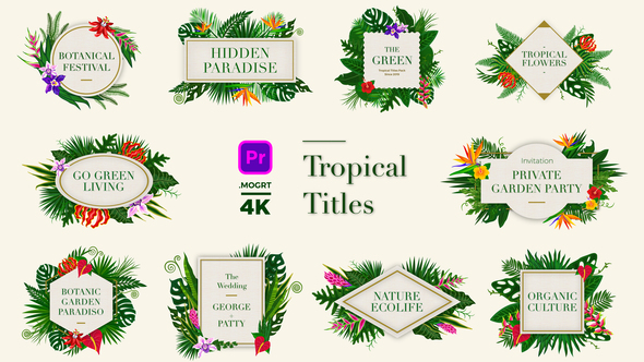 VideoHive Tropical Titles 24003189