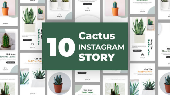 VideoHive Cactus Instagram Story Pack 33211459