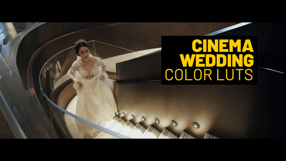VideoHive Cinema Wedding LUTs for Final Cut 39235777