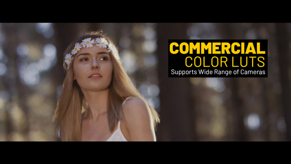 VideoHive Commercial LUTs for Final Cut 39146729