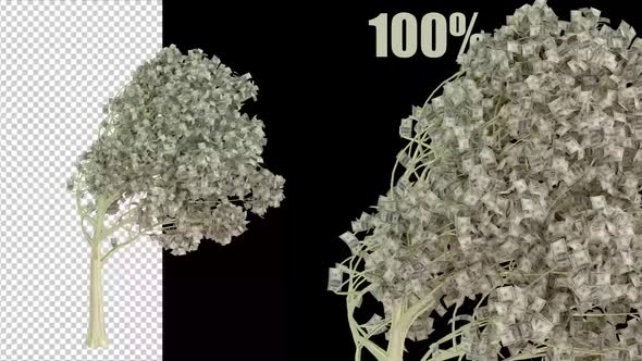 VideoHive Dollar Tree Shaking In The Storm 39003865