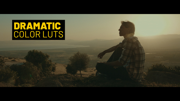 VideoHive Dramatic LUTs for Final Cut 39235783