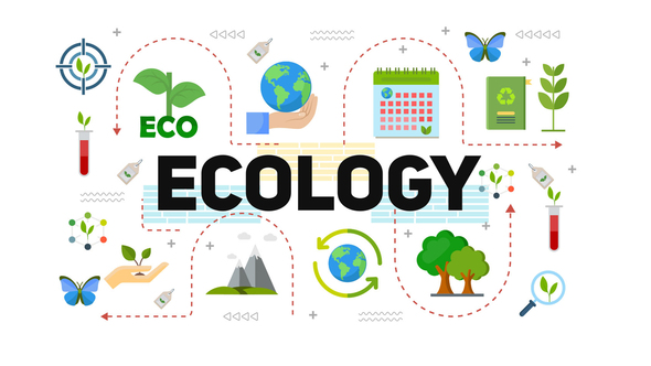 VideoHive Ecology & Energy Typography Scenes 38522287