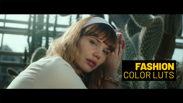 VideoHive Fashion LUTs for Final Cut 39148003