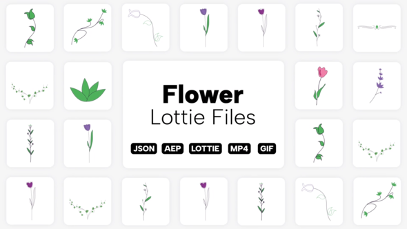VideoHive Flower Lottie Elements 39551704