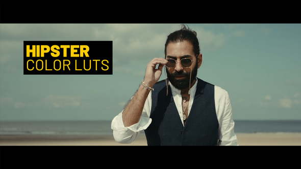 VideoHive Hipster LUTs for Final Cut 39147996