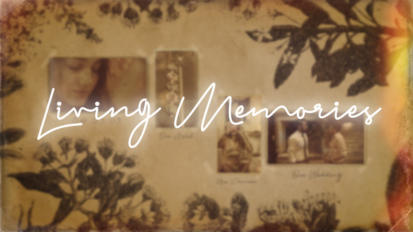 VideoHive Living Memories 22423493