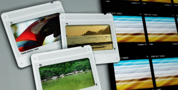 VideoHive Photographer Life 85701