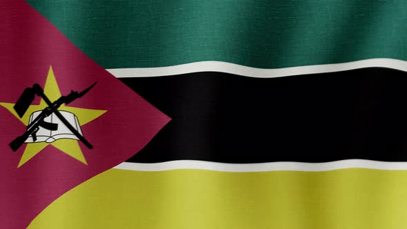 VideoHive The National Flag of Mozambique 38995362