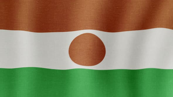 VideoHive The National Flag of Niger 38995353