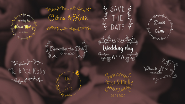VideoHive Wedding Day Titles | After Effects 33468015