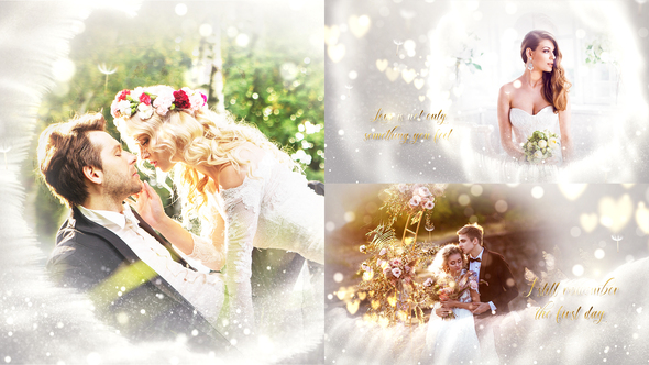 VideoHive Wedding Slideshow 31860141
