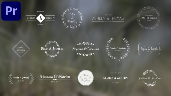 VideoHive Wedding Titles 39544916