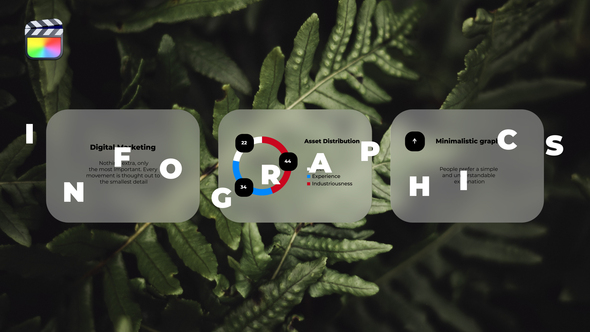 VideoHive Infographics 38486446