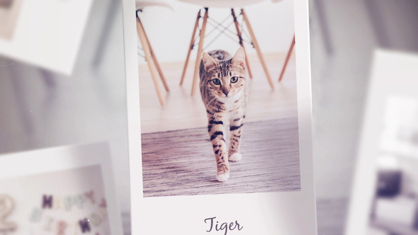 VideoHive Photo Slideshow 37086094