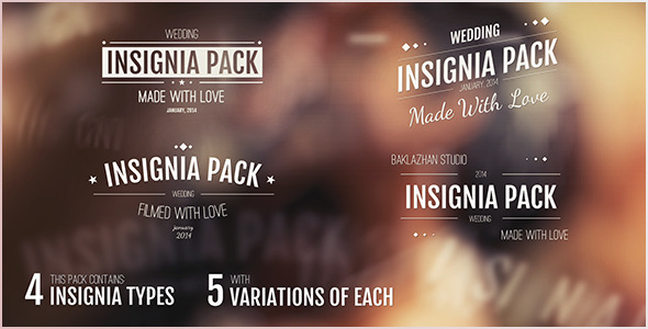 20in1 Intro Insignias Pack - Free Download 6587844 VideoHive