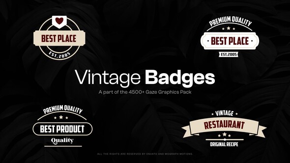 VideoHive 15 Vintage Badges 48091658