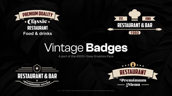 VideoHive 15 Vintage Badges 48321856