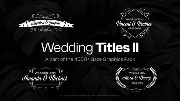 VideoHive 15 Wedding Titles II 48108316