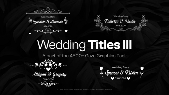VideoHive 20 Wedding Titles III 48108344