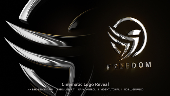 VideoHive Logo Intro 48114923