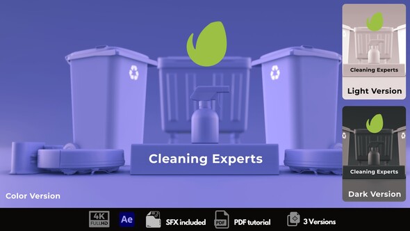 VideoHive Cleaning Experts 50393603