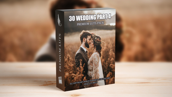 VideoHive Exclusive Wedding Video LUTs: Top 30 Cinematic Presets for Videography Experts 50042172