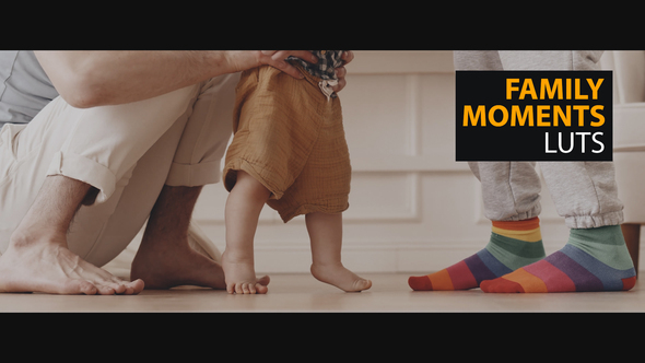 VideoHive Family Moments LUTs 50040382