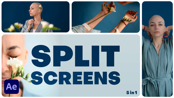 VideoHive Multiscreen Transitions – 4 Split Screen – Vol. 02 50141959