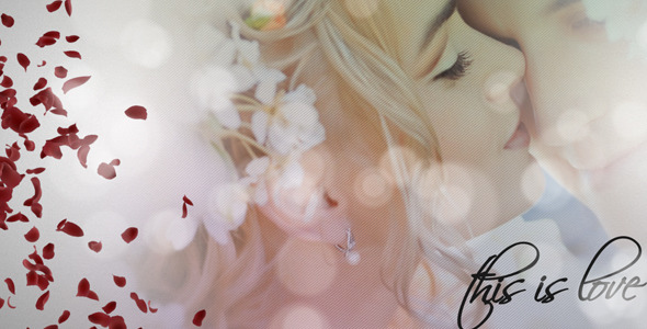 VideoHive Wedding Album 1837869