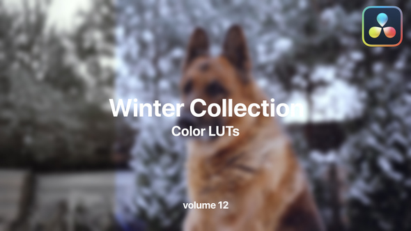 VideoHive Winter LUTs Collection Vol. 12 49984117
