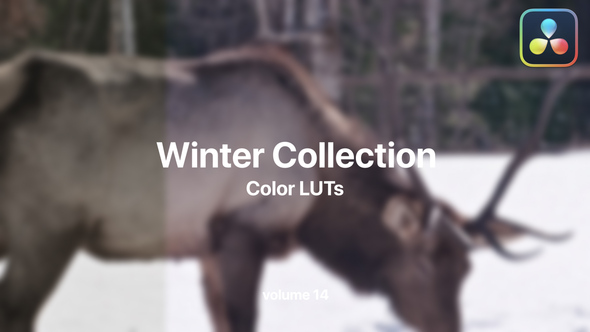 VideoHive Winter LUTs Collection Vol. 14 49984129