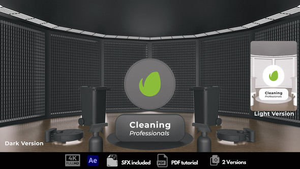 VideoHive Cleaning Professionals 50874343