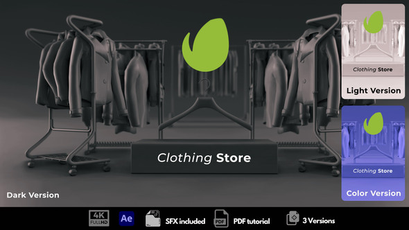 VideoHive Clothing Store 50874281
