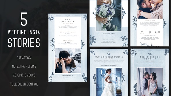 VideoHive Wedding Instagram Stories 50871912