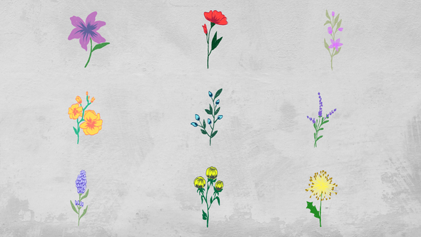 VideoHive Flowers Elements 51586187